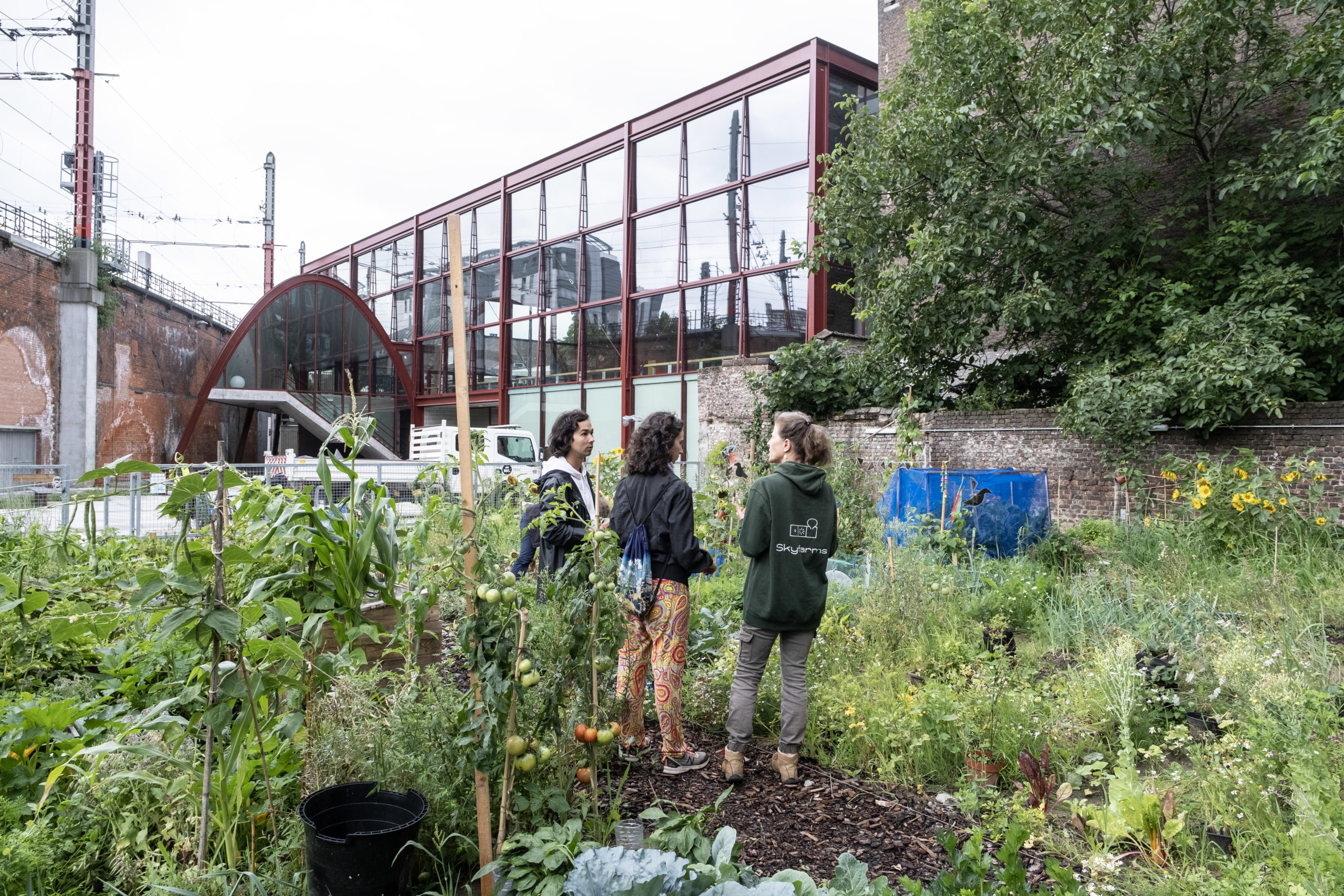 Accompagnement Des Potagers Collectifs De Bruxelles Ville Formations