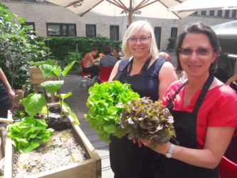 Potager de la BNP chez Co.station