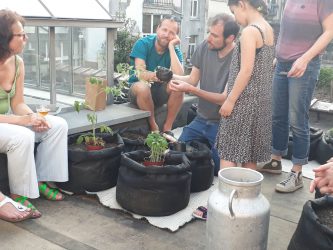 Vegetable garden for l’Entrepote