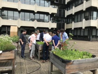 ING Vegetable garden in Etterbeek