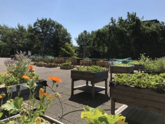 Potager ING à Etterbeek