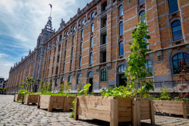 Potager Collectif Tour & Taxis avec Extensa