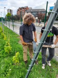 Moestuin van Zoé in Charleroi