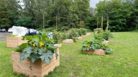 Potager de la Sofico à Liège