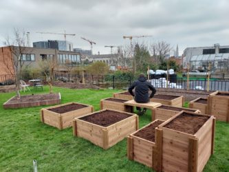 Moestuin op dak bij Back of the House