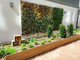 Biodiversiteitstuin op een terras bij Microsoft