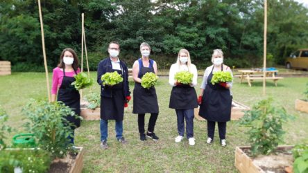 Potager de la Sofico à Liège