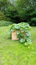 Sofico vegetable garden in Liège