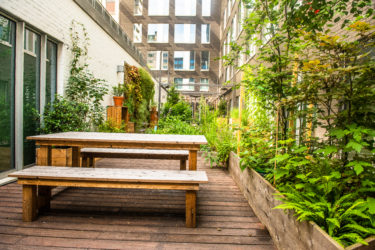 Jardin de biodiversité sur terrasse pour Microsoft