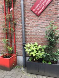 Ateliers des Tanneurs : planten buiten en binnen