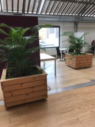 Indoor and outdoor plants for les ateliers des tanneurs
